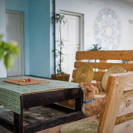 Ananda Tree House Eco Homestay Катманду Екстер'єр фото