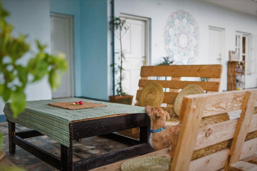 Ananda Tree House Eco Homestay Катманду Екстер'єр фото